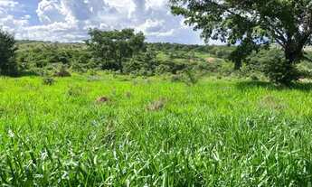Imagem 7: Fazendinha 5.5 ha, piscina, córrego, terra de cultivo e casa. Jaboticatubas