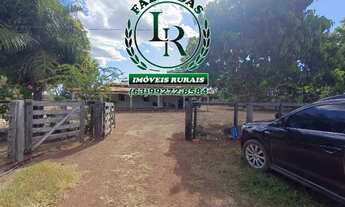 Imagem 4: Chácara de 5 alqueires Próximo a Paraiso do Tocantins