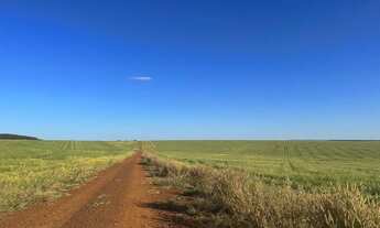 Imagem 7: Fazenda 6.402 hec em nova motum MT. 150 milhões