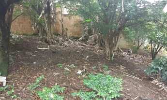 Imagem 4: Rural Chácara em São José dos Campos