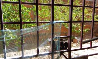 Imagem 6: Vende-se casa na zona leste