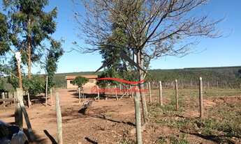 Imagem 6: Fazenda à venda, 3 quartos, zona rural - Senador Modestino Gonçalves/MG