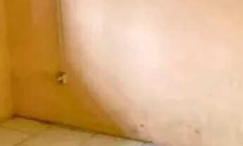 Imagem 2: Terreno 11 x 30 com 2 casas