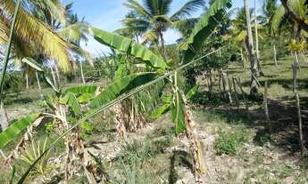 Imagem 4: VENDE- SE CASA Casa com 3 dormitórios