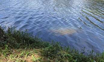 Imagem 2: Chácara para temporada Natal e Ano Novo - 2 quartos em Condomínio