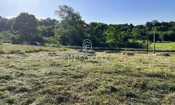 Imagem 3: Terrenos - Borghetto