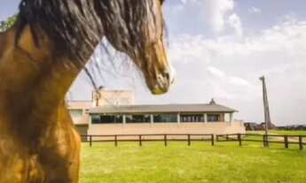Imagem 6: 52 hectares, Haras de Luxo PR | 29 Cocheiras