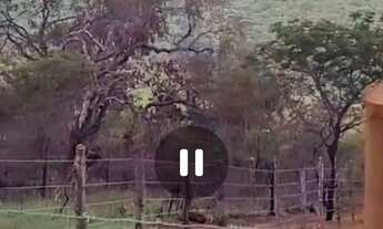 Imagem 5: Área para Sítio ou Chalé na Chapada