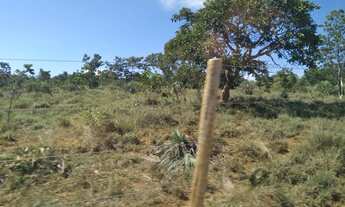 Imagem 4: Fazenda a venda Fazenda / sítio com venda por R$15.000.000