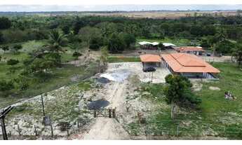 Imagem: Sítio dos Sonhos 20 Tarefas á 15 min