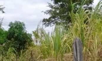 Imagem: Sitio 5,5 Alqueires 27 Hectares) 43 km major