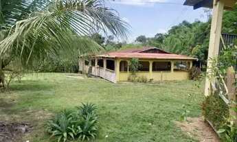 Imagem: Sítio no Novo Airão kM 04