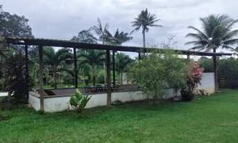 Imagem 6: Sítio 333 x 1.000 na BR 174 Ramal do Pau - Rosa 600.001,00