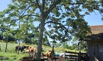 Imagem 7: Chácara de 7,15 ha em Cazuza Ferreira, São Francisco de Paula