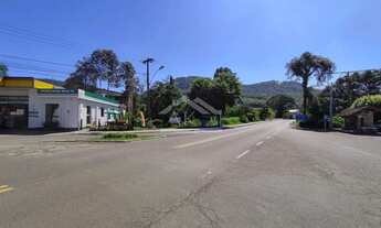 Imagem 6: Amplo terreno às margens da BR 116 em Picada Café na Serra Gaúcha