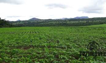 Imagem: FAZENDA EM DOVERLÂNDIA - GO