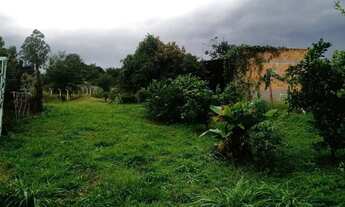 Imagem 4: Chacara 4000 mts