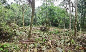 Imagem 7: Amplo terreno à venda no bairro Ratones, Florianópolis/SC