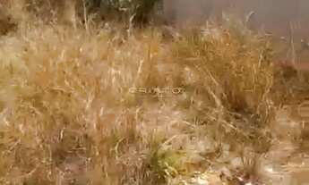 Imagem 4: Terreno Residencial para Venda Residencial Morumbi, Anápolis