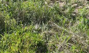 Imagem 2: Loteamento Bosque das Araucárias - Linha Imperial