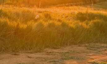 Imagem: Loteamento com lago, trilha e segurança