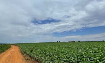 Imagem: Fazenda de 154 alqueires goianos plantando