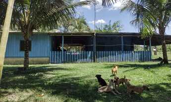 Imagem: Sítio no Rio Preto da Eva