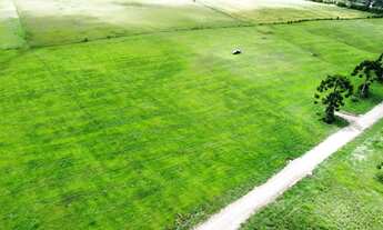 Imagem 3: Imóvel para venda tem 21257 metros quadrados em São Luiz do Purunã - Balsa Nova - PR