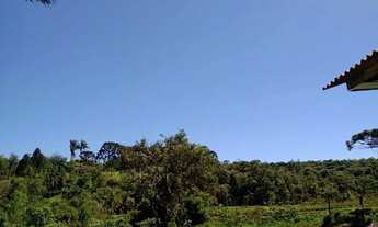 Imagem 3: Vende-se chácara em tijucas do sul