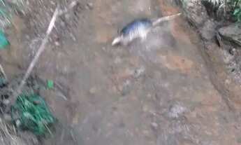 Imagem 2: Aluguel Chácara para eventos religiosos e famílias