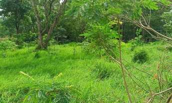 Imagem 3: Chácara em diamante do oeste