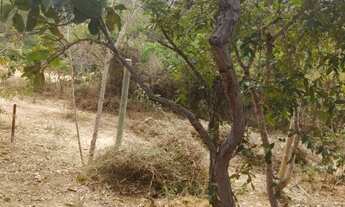 Imagem 3: Vendo chácara de mil metros quadrados em São José do Almeida próximo à Serra Do Cipó