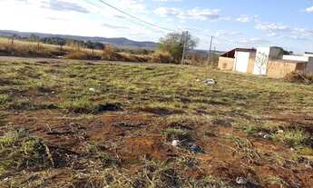 Imagem 6: Ágio de lote em Trindade