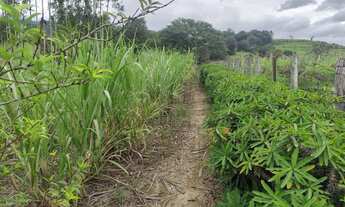 Imagem 3: Terreno plaino polenghi 35 km de Itapetininga, perto da fábrica polenghi