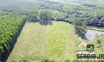 Imagem 6: Sítio com 2,2ha, casa/galpão rústico e açudes em Triunfo