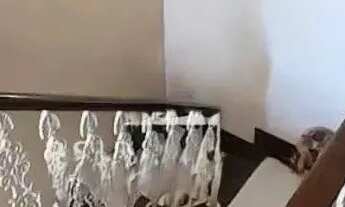 Imagem 6: Imóvel para venda com 264 metros quadrados com 5 quartos em Badu - Niterói - RJ