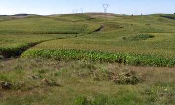 Imagem 3: Fazenda a Venda em Agua Doce no Horizonte