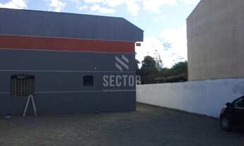 Imagem 2: Galpão / Depósito / Armazém em Boqueirão - Curitiba