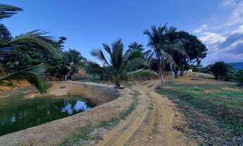 Imagem 3: Fazenda/Sítio/Chácara para venda tem 12000000 metros quadrados com 3 quartos em Timbui - F