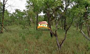 Imagem 6: Fazenda para Venda em Centenário