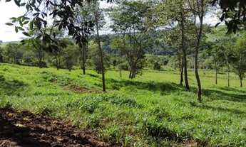 Imagem 4: OPORTUNIDADE - Sitio 2 alqueires sentindo Indianópolis