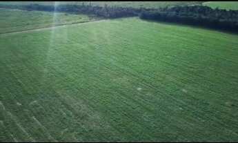 Imagem 2: Fazenda Mato Grosso