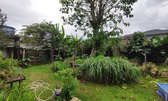 Imagem: Terreno de 360m2 no Jardim Samambaia em