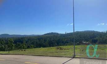 Imagem 3: Lindo Terreno aclive em Alphaville