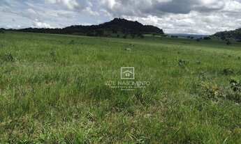 Imagem 5: Fazenda Região Serra São Vicente - MT