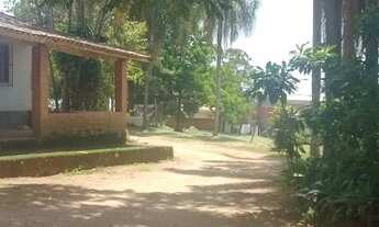 Imagem 3: Sítio venda possui 21mil metros quadrados com uma casinha 3 quartos 500 metros da rodovia