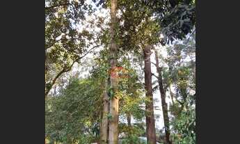 Imagem 7: APARTAMENTO RESIDENCIAL em SÃO PAULO - SP, GRANJA JULIETA