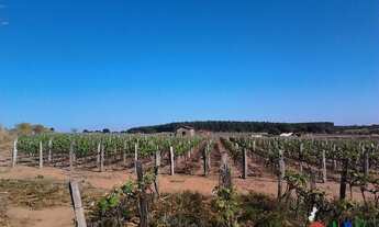 Imagem 6: Indaiatuba Terreno / lote com venda por R$50.000.000