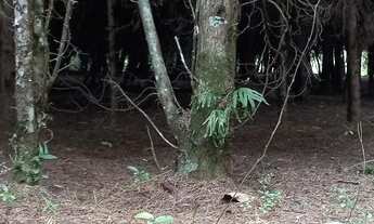 Imagem 7: Terrenos (4), 9.243 m², Condomínio p/ represa, topogr. mista, com rua, 6 km do centro Mair