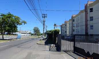 Imagem 4: APARTAMENTO RESIDENCIAL em CAMPINAS - SP, JARDIM CURA D'ARS